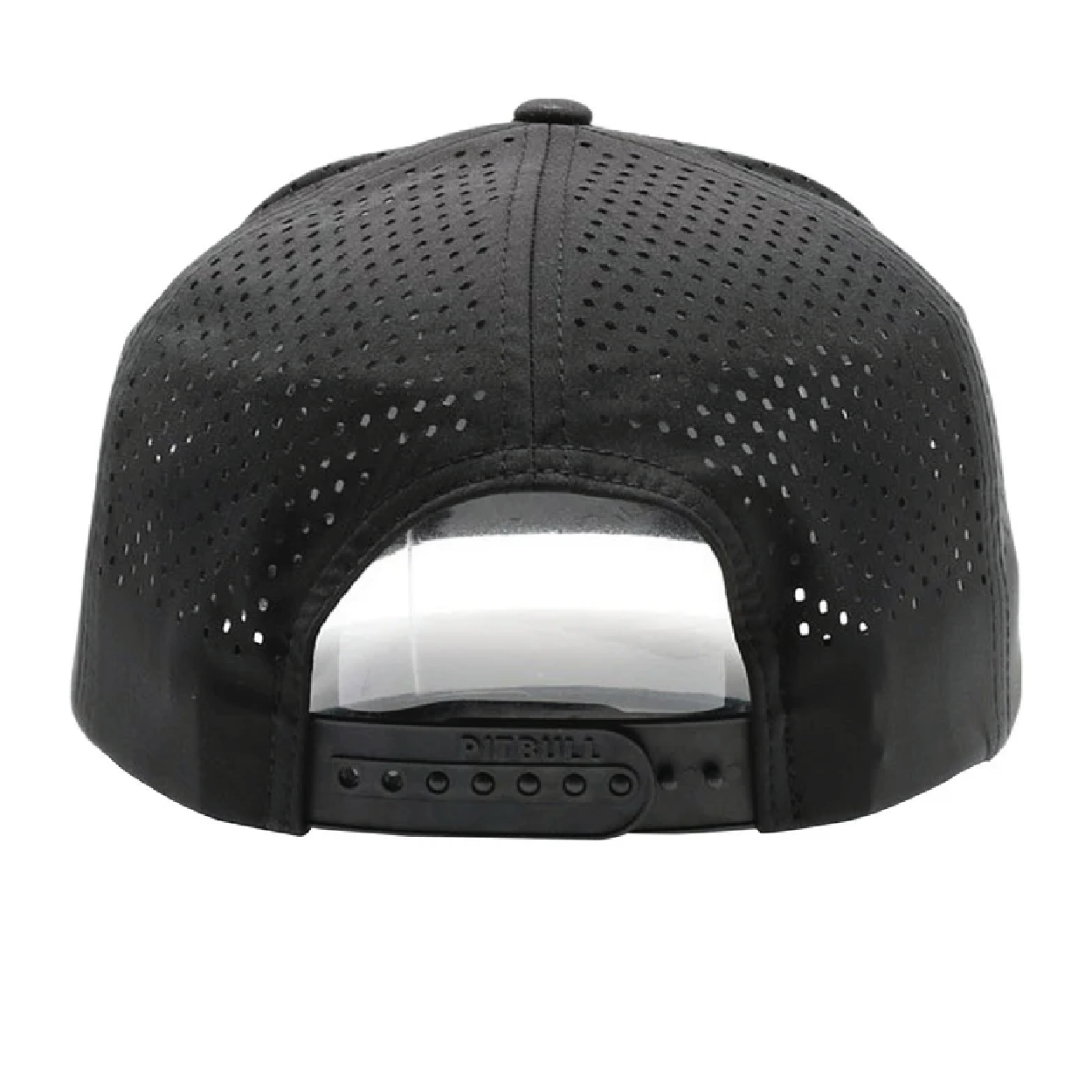 EFI Global - PB Black Hat