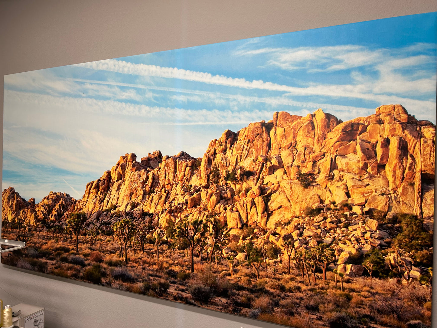 Custom UV Printed Canvas – Vibrant, Durable Wall Art for Home or Business