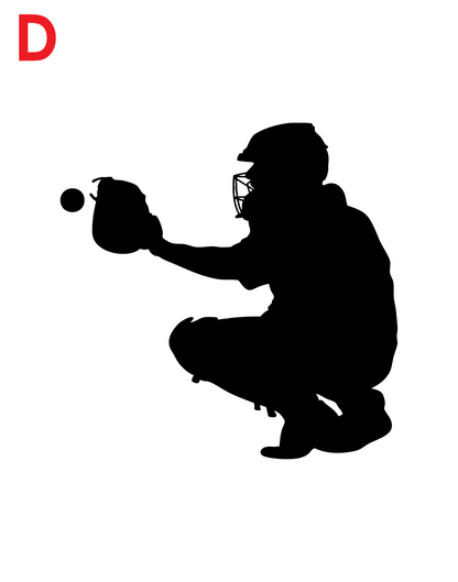 Baseball decal catcher