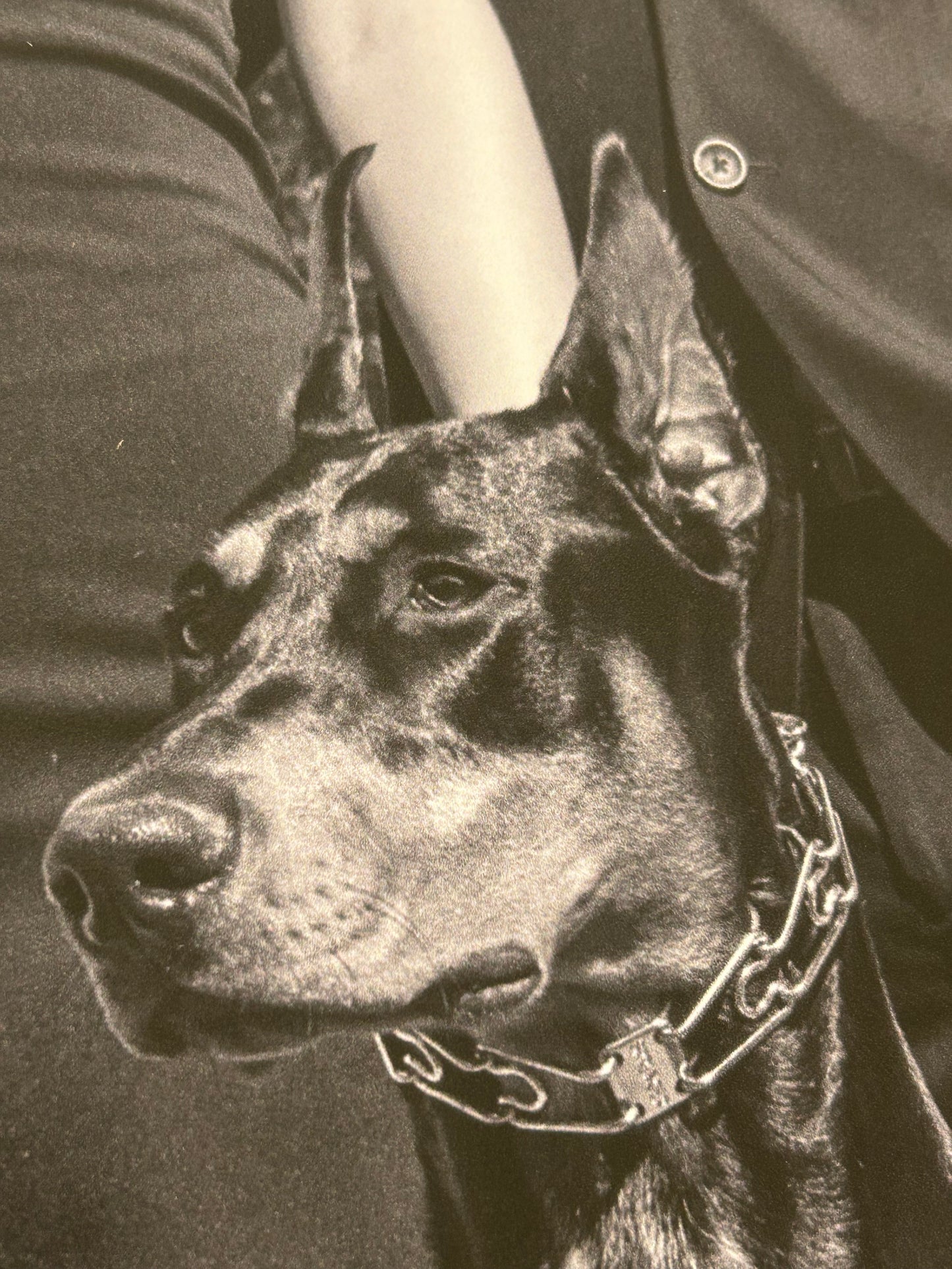Close up of a dog printed on poster paper