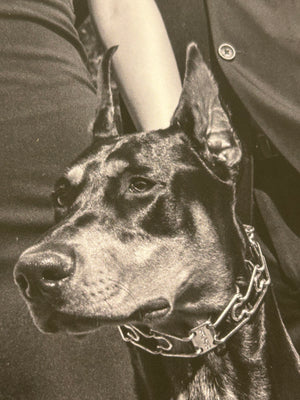 Close up of a dog printed on poster paper