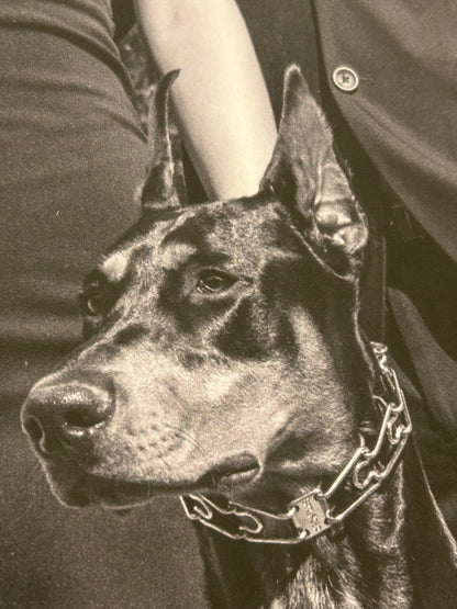 Close up of a dog printed on poster paper